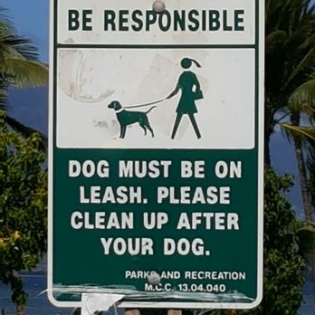 Waipuilani Park - Apparently, this is just a suggestion. - Parks Near Me - Kihei, Hawaii Waipuilani Park - Apparently, this is just a suggestion. - Parks Near Me - Kihei, Hawaii