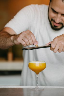 The Surfing Fox by null