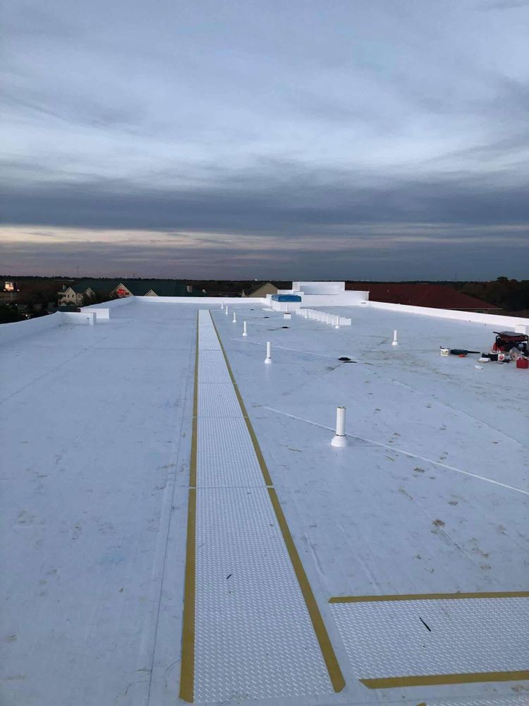 Slide of The Lion Roofing