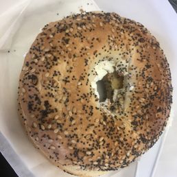 Everything Bagel