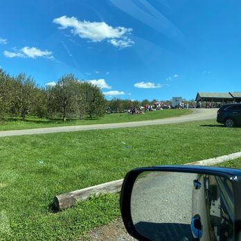Stribling Orchard - Drive way - Fruits & Veggies Near Me - Markham, Virginia