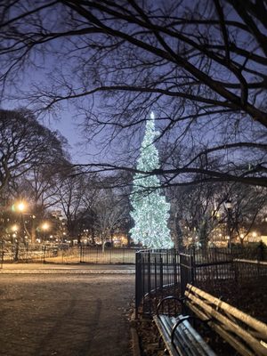 Tompkins Square Park by null