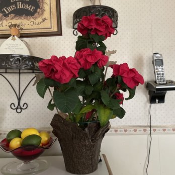 Flower Warehouse - Winter Rose Poinsettia - Florists Near Me - Forty Fort, Pennsylvania Flower Warehouse - Winter Rose Poinsettia - Florists Near Me - Forty Fort, Pennsylvania