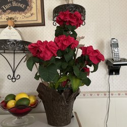 Flower Warehouse - Winter Rose Poinsettia