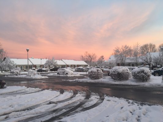 Paradigm Computer Consulting