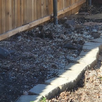 Tactical Tree Operations - End result - excuse the weed tarp our English bulldog keeps digging up - Tree Services Near Me