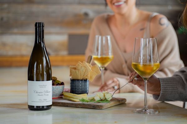 Pax Wines by null