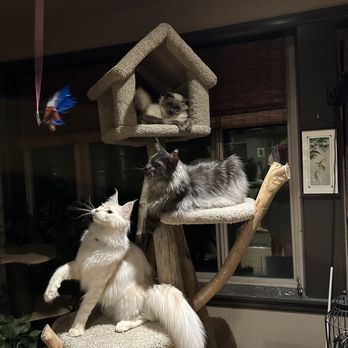 REBER RANCH - Updated November 2024 - 126 Photos & 203 Reviews - 28606 ...