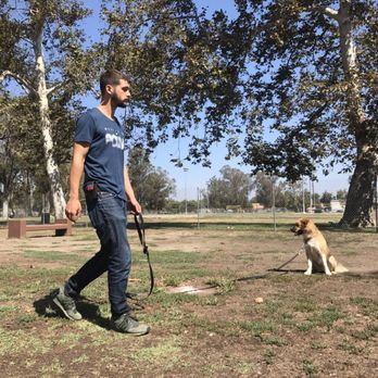 Smart Dogs Training Academy - Sit & stay, Choonya! - Pet Training Near Me Smart Dogs Training Academy - Sit & stay, Choonya! - Pet Training Near Me