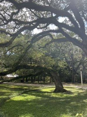 Eden Gardens State Park by null