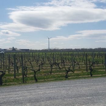 Lenz Winery - Wineries Near Me - Peconic, New York