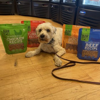 Ben's Barketplace | Citrus Heights - Louie posing with a new brand and the new line of freeze dried they carry! - Pet Stores Near Me - Citrus Heights, California Ben's Barketplace | Citrus Heights - Louie posing with a new brand and the new line of freeze dried they carry! - Pet Stores Near Me - Citrus Heights, California