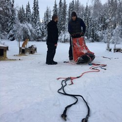 Friendly Arctic Adventures - Mushing 101