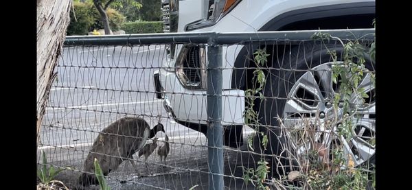 Casa de Fruta by null