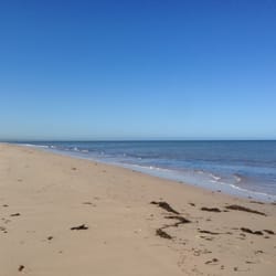 Tennyson beach