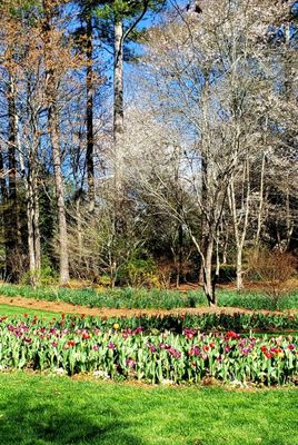 Gibbs Gardens by null