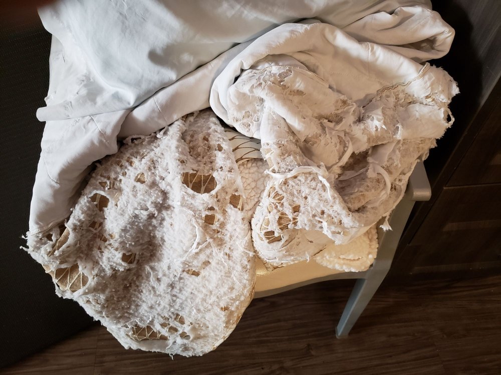 WILLOW SPRINGS REHABILITATION & HEALTHCARE CENTER Updated October