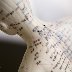Sylvia Salcedo L.Ac - Denver Acupuncture