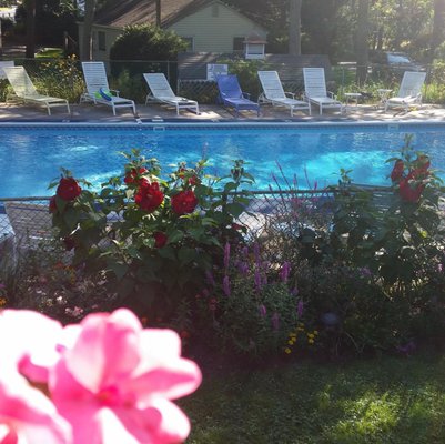 Hamptons Vacation Inn by null