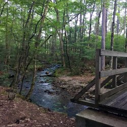 Amethyst Brook Conservation Area