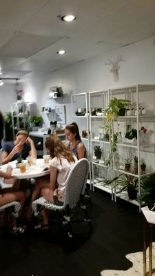 Paloma Parlor by null