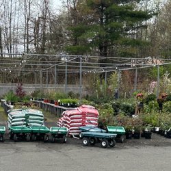 Moscarillo's Garden Shoppe