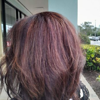 Hair Cuttery - Hair by Holly - Hair Stylists Near Me - Coconut Creek, Florida Hair Cuttery - Hair by Holly - Hair Stylists Near Me - Coconut Creek, Florida