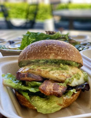 Hog Island Larkspur by null