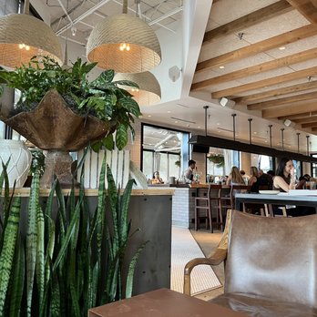 Sixty Vines - Wine Bars Near Me - Winter Park, Florida Sixty Vines - Wine Bars Near Me - Winter Park, Florida