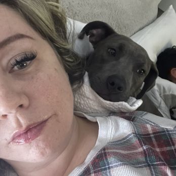 Adopt A Pit Rescue - Pet Adoption Near Me