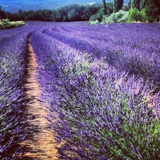 Travelling Provence