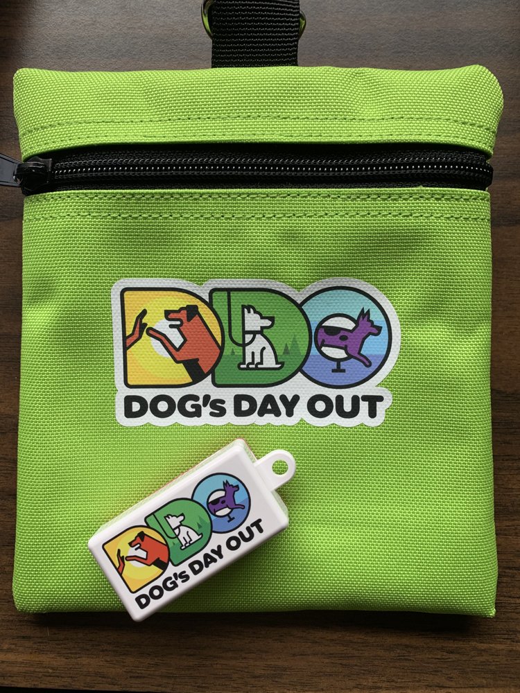 DOG’S DAY OUT BURIEN Updated June 2024 15227 Ambaum Blvd SW