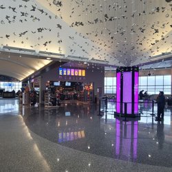 In the Terminal.