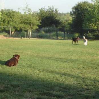 San Dimas Dog Park - Dog Parks Near Me - San Dimas, California