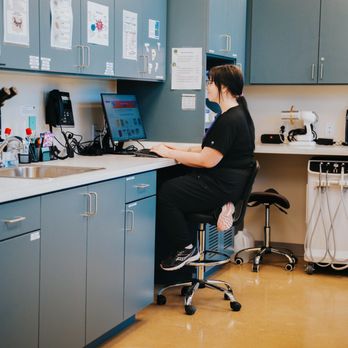 Meow Bark Veterinary - Veterinarians Near Me - Austin, Texas Meow Bark Veterinary - Veterinarians Near Me - Austin, Texas