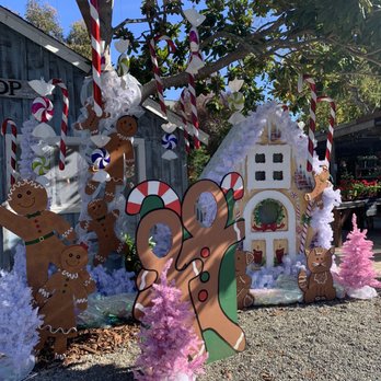 Cambria Nursery and Florist - Outdoor displays - Nurseries & Gardening Near Me - Cambria, California Cambria Nursery and Florist - Outdoor displays - Nurseries & Gardening Near Me - Cambria, California