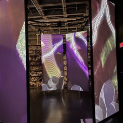 Musée de la Civilisation