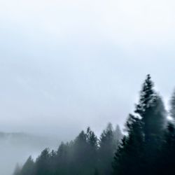 Klamath National Forest