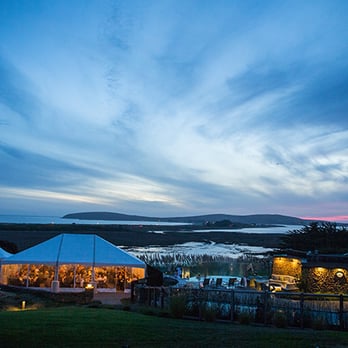 Sonoma Light - Event Photography Near Me