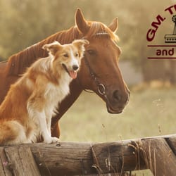Thompson G Merritt & Sons - G Merritt Thompson and Sons Inchttp://gmthompson.net/ 860-429-9377