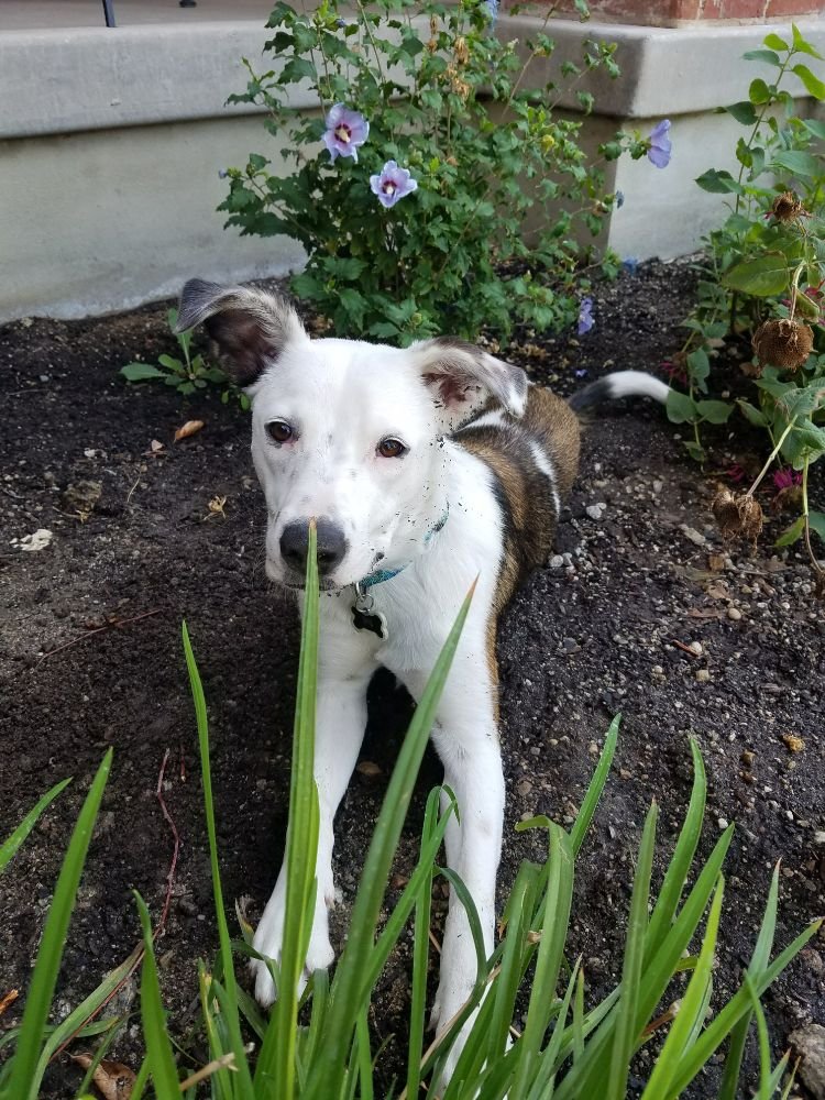Slide of South Valley Backflow Testing Service