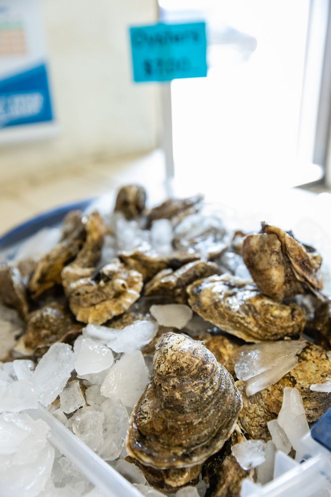 FISHERMAN’S DOCK JACKSONVILLE Updated August 2024 225 Photos & 66