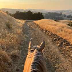 Kim's Bredehoft's Horse & Rider Connection
