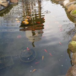 Independence Nursery & Water Gardens