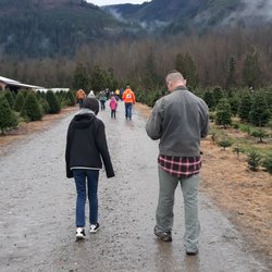 Alpine Meadows Tree Farm - Christmas Tree Lane!