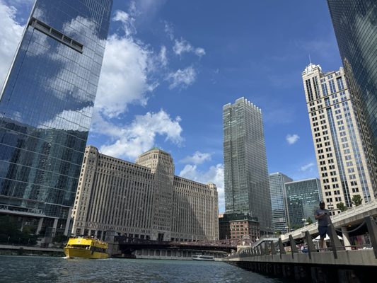 Urban Kayaks on the Chicago River by null