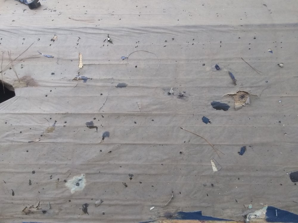 Slide of MV Roofing And Tree Services