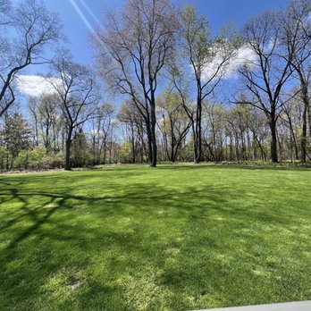 Arbol Tree Service - Finished back yard. - Tree Services Near Me Arbol Tree Service - Finished back yard. - Tree Services Near Me