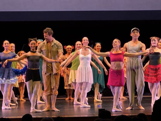 The Conrad Prebys Performing Arts Center by null