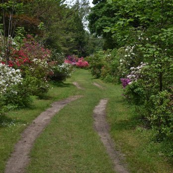 Kinney Azalea Gardens - Botanical Gardens Near Me - South Kingstown, Rhode Island Kinney Azalea Gardens - Botanical Gardens Near Me - South Kingstown, Rhode Island